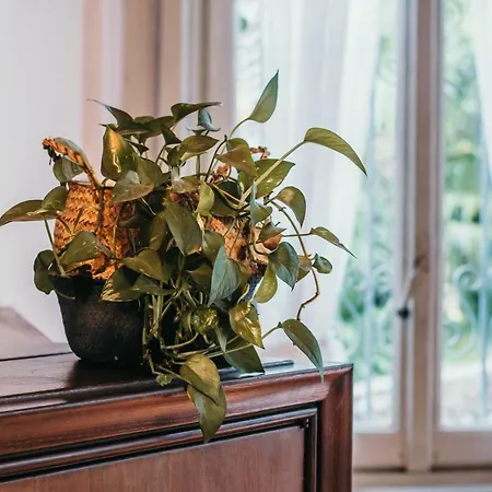 Library - Candela Apartman