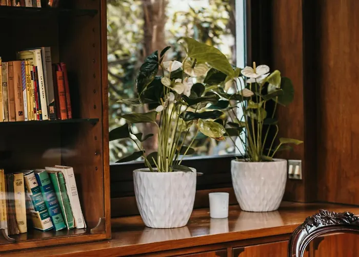 Apartment Library - Candela *