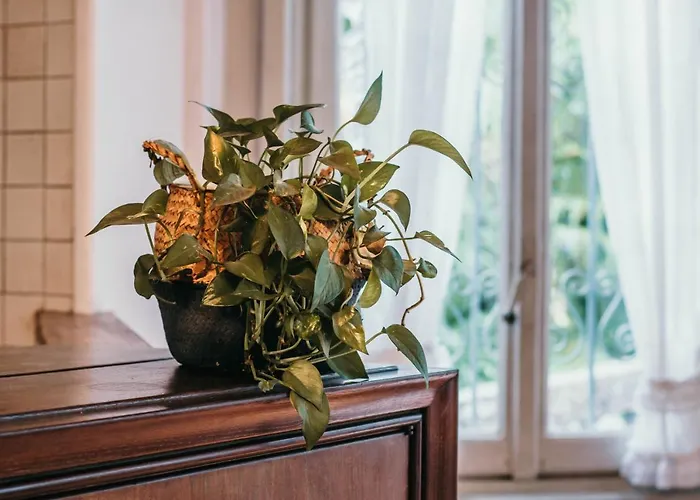 Library - Candela Апартаменты