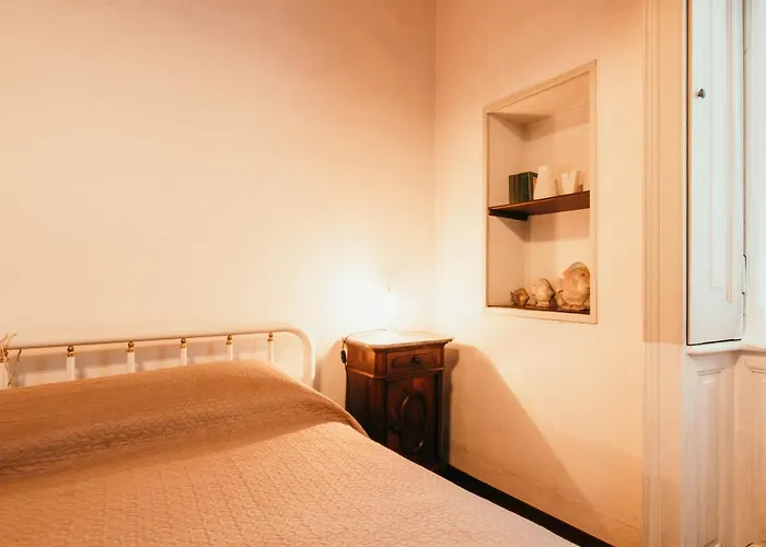 Library - Candela Стреза